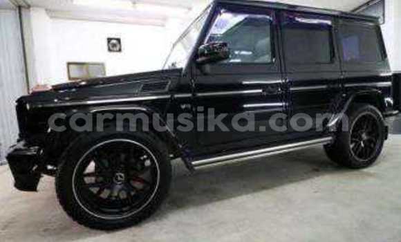 Tenga Tsaru Mercedes‒Benz G-klasse Nhema Mota in Beitbridge in Matabeleland South Tenga Tsaru Mercedes‒Benz G-klasse Nhema Mota in Beitbridge in Matabeleland South