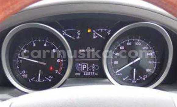 Tenga Tsaru Toyota Land Cruiser Nhema Mota in Beitbridge in Matabeleland South Tenga Tsaru Toyota Land Cruiser Nhema Mota in Beitbridge in Matabeleland South