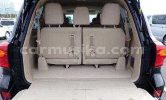 Tenga Tsaru Toyota Land Cruiser Nhema Mota in Beitbridge in Matabeleland South Tenga Tsaru Toyota Land Cruiser Nhema Mota in Beitbridge in Matabeleland South