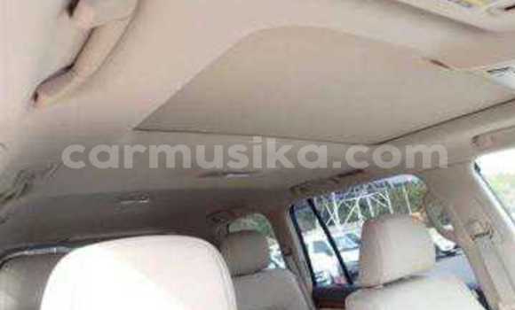 Tenga Tsaru Toyota Land Cruiser Nhema Mota in Beitbridge in Matabeleland South Tenga Tsaru Toyota Land Cruiser Nhema Mota in Beitbridge in Matabeleland South