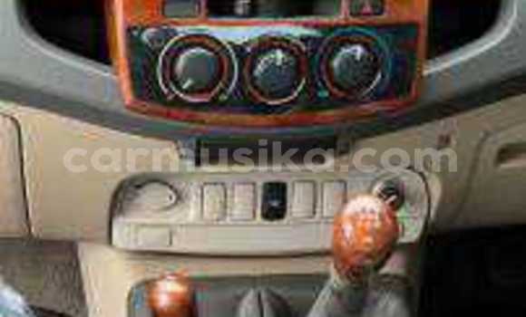 Tenga Tsaru Toyota Hilux Nhema Mota in Beitbridge in Matabeleland South Tenga Tsaru Toyota Hilux Nhema Mota in Beitbridge in Matabeleland South