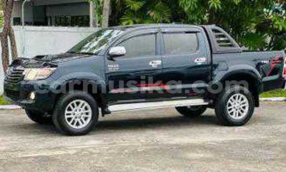 Tenga Tsaru Toyota Hilux Nhema Mota in Beitbridge in Matabeleland South Tenga Tsaru Toyota Hilux Nhema Mota in Beitbridge in Matabeleland South