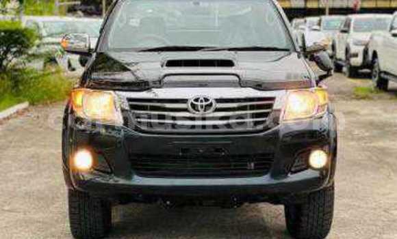 Tenga Tsaru Toyota Hilux Nhema Mota in Beitbridge in Matabeleland South Tenga Tsaru Toyota Hilux Nhema Mota in Beitbridge in Matabeleland South