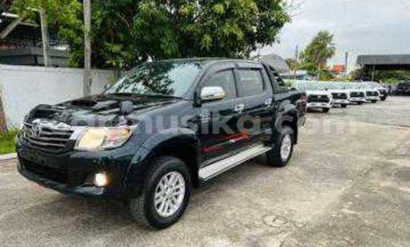 Tenga Tsaru Toyota Hilux Nhema Mota in Beitbridge in Matabeleland South Tenga Tsaru Toyota Hilux Nhema Mota in Beitbridge in Matabeleland South