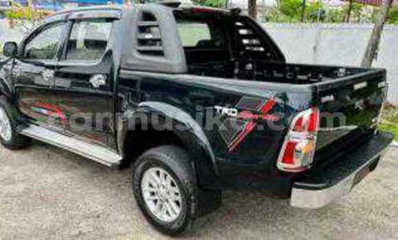 Tenga Tsaru Toyota Hilux Nhema Mota in Beitbridge in Matabeleland South Tenga Tsaru Toyota Hilux Nhema Mota in Beitbridge in Matabeleland South