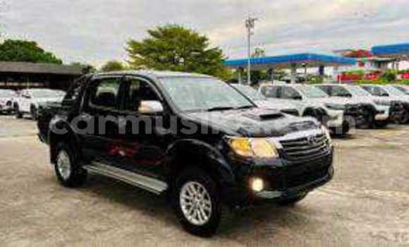 Tenga Tsaru Toyota Hilux Nhema Mota in Beitbridge in Matabeleland South Tenga Tsaru Toyota Hilux Nhema Mota in Beitbridge in Matabeleland South