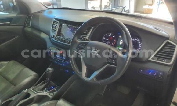 Acheter Occasion Voiture Hyundai Tucson Blanc à Beitbridge, Matabeleland South Acheter Occasion Voiture Hyundai Tucson Blanc à Beitbridge, Matabeleland South