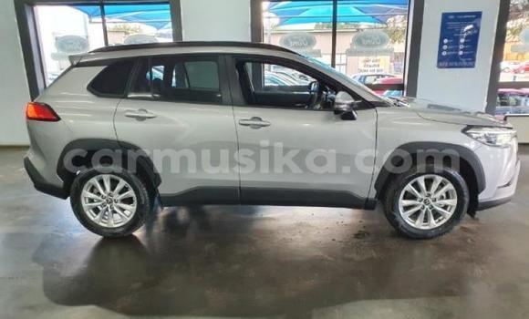 Nunua Ilio tumika Toyota Corolla Fedha Gari ndani ya Beitbridge nchini Matabeleland Kusini