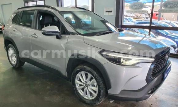 Acheter Occasion Voiture Toyota Corolla Gris à Beitbridge, Matabeleland South Acheter Occasion Voiture Toyota Corolla Gris à Beitbridge, Matabeleland South