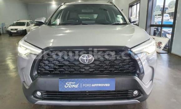 Acheter Occasion Voiture Toyota Corolla Gris à Beitbridge, Matabeleland South Acheter Occasion Voiture Toyota Corolla Gris à Beitbridge, Matabeleland South