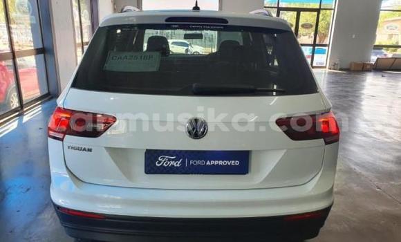 Buy Used Volkswagen Tiguan White Car in Beitbridge in Matabeleland South Buy Used Volkswagen Tiguan White Car in Beitbridge in Matabeleland South