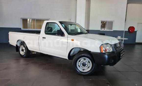 Nunua Ilio tumika Nissan NP 300 Nyeupe Gari ndani ya Beitbridge nchini Matabeleland Kusini