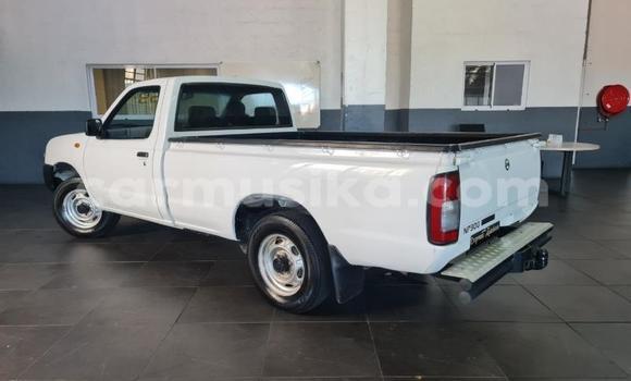 Acheter Occasion Voiture Nissan NP 300 Blanc à Beitbridge, Matabeleland South Acheter Occasion Voiture Nissan NP 300 Blanc à Beitbridge, Matabeleland South