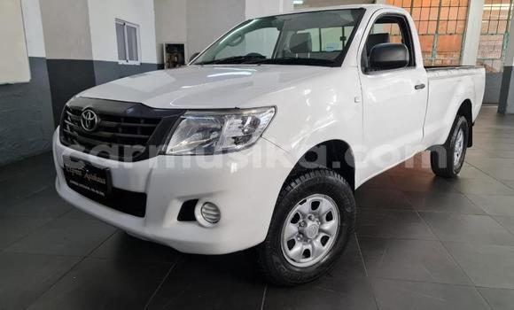 Tenga Tsaru Toyota Hilux Chena Mota in Beitbridge in Matabeleland South Tenga Tsaru Toyota Hilux Chena Mota in Beitbridge in Matabeleland South
