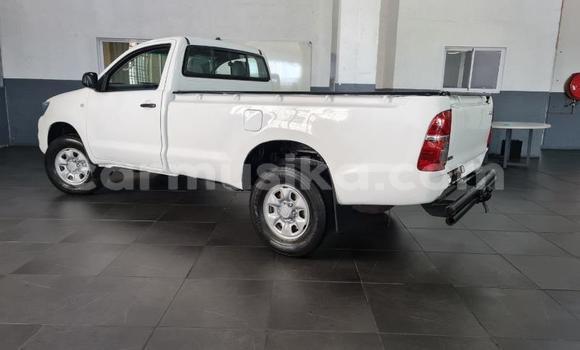 Tenga Tsaru Toyota Hilux Chena Mota in Beitbridge in Matabeleland South Tenga Tsaru Toyota Hilux Chena Mota in Beitbridge in Matabeleland South
