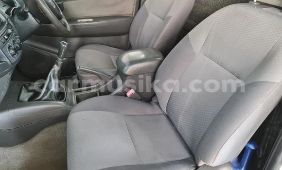 Tenga Tsaru Toyota Hilux Chena Mota in Beitbridge in Matabeleland South Tenga Tsaru Toyota Hilux Chena Mota in Beitbridge in Matabeleland South