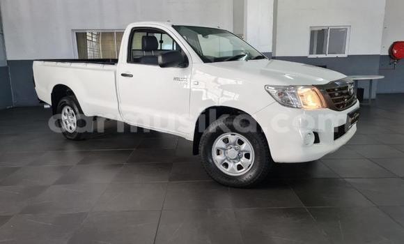 Tenga Tsaru Toyota Hilux Chena Mota in Beitbridge in Matabeleland South Tenga Tsaru Toyota Hilux Chena Mota in Beitbridge in Matabeleland South