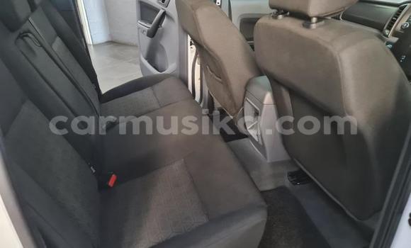 Tenga Tsaru Ford Ranger Chena Mota in Beitbridge in Matabeleland South Tenga Tsaru Ford Ranger Chena Mota in Beitbridge in Matabeleland South