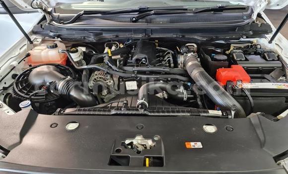 Tenga Tsaru Ford Ranger Chena Mota in Beitbridge in Matabeleland South Tenga Tsaru Ford Ranger Chena Mota in Beitbridge in Matabeleland South