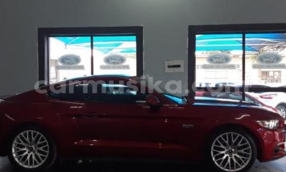 Buy Used Ford Mustang Red Car in Beitbridge in Matabeleland South