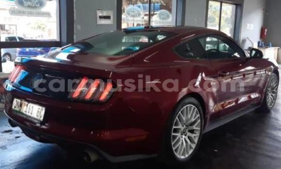 Tenga Tsaru Ford Mustang Tsvuku Mota in Beitbridge in Matabeleland South Tenga Tsaru Ford Mustang Tsvuku Mota in Beitbridge in Matabeleland South