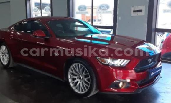 Tenga Tsaru Ford Mustang Tsvuku Mota in Beitbridge in Matabeleland South Tenga Tsaru Ford Mustang Tsvuku Mota in Beitbridge in Matabeleland South