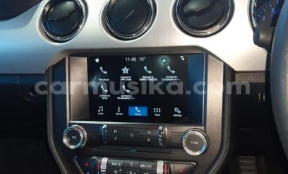 Tenga Tsaru Ford Mustang Tsvuku Mota in Beitbridge in Matabeleland South Tenga Tsaru Ford Mustang Tsvuku Mota in Beitbridge in Matabeleland South