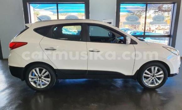 Tenga Tsaru Hyundai H1 Chena Mota in Beitbridge in Matabeleland South