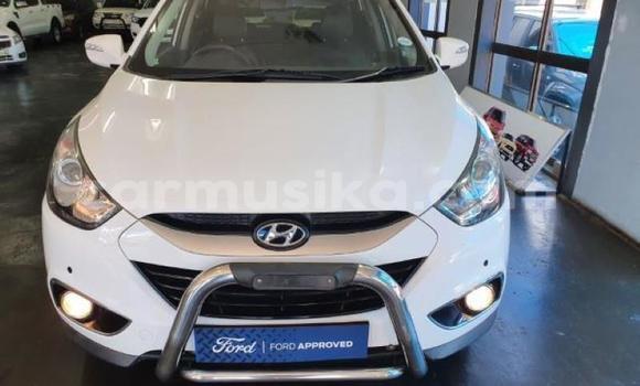 Acheter Occasion Voiture Hyundai H1 Blanc à Beitbridge, Matabeleland South Acheter Occasion Voiture Hyundai H1 Blanc à Beitbridge, Matabeleland South