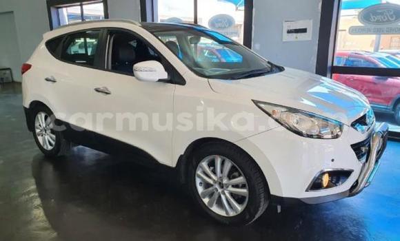 Acheter Occasion Voiture Hyundai H1 Blanc à Beitbridge, Matabeleland South Acheter Occasion Voiture Hyundai H1 Blanc à Beitbridge, Matabeleland South