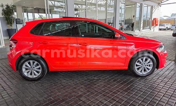 Acheter Occasion Voiture Volkswagen Polo Rouge à Beitbridge, Matabeleland South