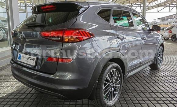 Acheter Occasion Voiture Hyundai Tucson Gris à Beitbridge, Matabeleland South Acheter Occasion Voiture Hyundai Tucson Gris à Beitbridge, Matabeleland South