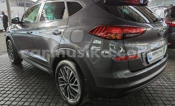Acheter Occasion Voiture Hyundai Tucson Gris à Beitbridge, Matabeleland South Acheter Occasion Voiture Hyundai Tucson Gris à Beitbridge, Matabeleland South