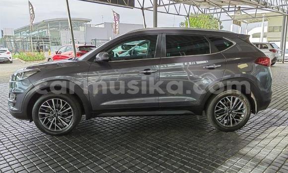Acheter Occasion Voiture Hyundai Tucson Gris à Beitbridge, Matabeleland South Acheter Occasion Voiture Hyundai Tucson Gris à Beitbridge, Matabeleland South