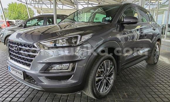 Acheter Occasion Voiture Hyundai Tucson Gris à Beitbridge, Matabeleland South Acheter Occasion Voiture Hyundai Tucson Gris à Beitbridge, Matabeleland South