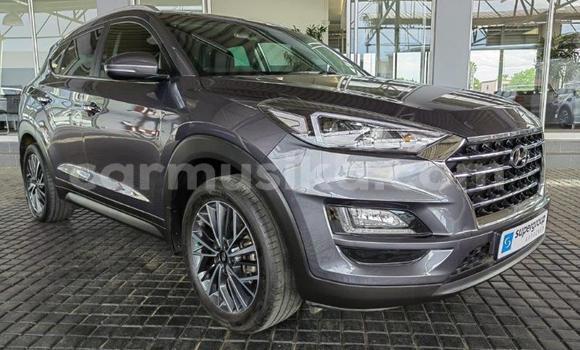 Acheter Occasion Voiture Hyundai Tucson Gris à Beitbridge, Matabeleland South Acheter Occasion Voiture Hyundai Tucson Gris à Beitbridge, Matabeleland South