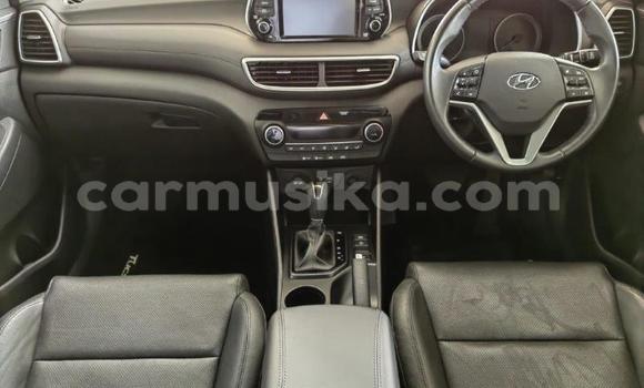 Acheter Occasion Voiture Hyundai Tucson Gris à Beitbridge, Matabeleland South Acheter Occasion Voiture Hyundai Tucson Gris à Beitbridge, Matabeleland South