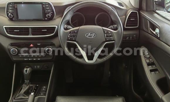 Acheter Occasion Voiture Hyundai Tucson Gris à Beitbridge, Matabeleland South Acheter Occasion Voiture Hyundai Tucson Gris à Beitbridge, Matabeleland South