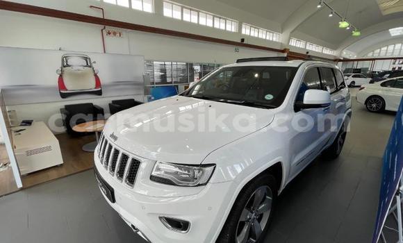Tenga Tsaru Jeep Grand Cherokee Chena Mota in Beitbridge in Matabeleland South Tenga Tsaru Jeep Grand Cherokee Chena Mota in Beitbridge in Matabeleland South