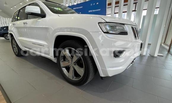 Tenga Tsaru Jeep Grand Cherokee Chena Mota in Beitbridge in Matabeleland South Tenga Tsaru Jeep Grand Cherokee Chena Mota in Beitbridge in Matabeleland South