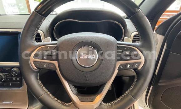 Tenga Tsaru Jeep Grand Cherokee Chena Mota in Beitbridge in Matabeleland South Tenga Tsaru Jeep Grand Cherokee Chena Mota in Beitbridge in Matabeleland South