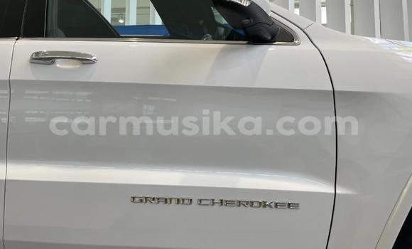 Tenga Tsaru Jeep Grand Cherokee Chena Mota in Beitbridge in Matabeleland South Tenga Tsaru Jeep Grand Cherokee Chena Mota in Beitbridge in Matabeleland South