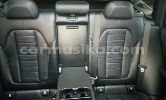 Tenga Tsaru Ford Ranger Sirivha Mota in Beitbridge in Matabeleland South Tenga Tsaru Ford Ranger Sirivha Mota in Beitbridge in Matabeleland South