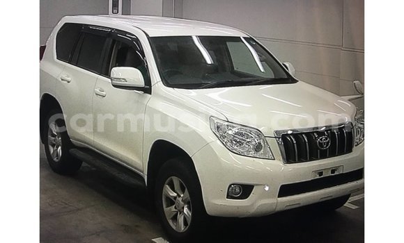 Buy Import Toyota Prado White Car in Import - Dubai in Harare Buy Import Toyota Prado White Car in Import - Dubai in Harare