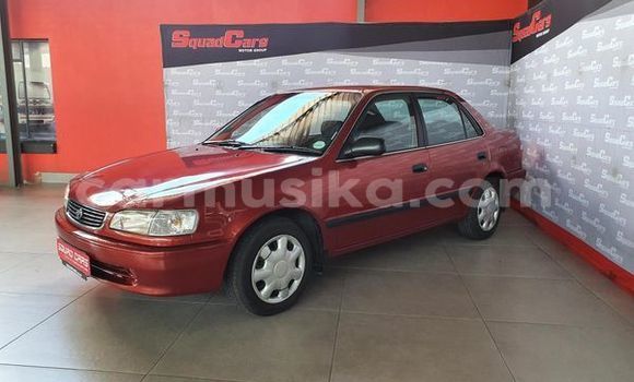 Acheter Occasion Voiture Toyota Corolla Rouge à Beitbridge, Matabeleland South