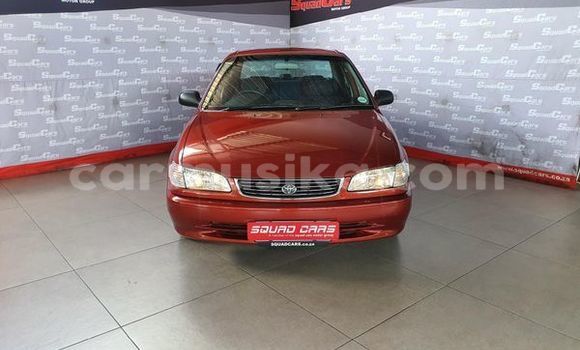 Buy Used Toyota Corolla Red Car in Beitbridge in Matabeleland South Buy Used Toyota Corolla Red Car in Beitbridge in Matabeleland South