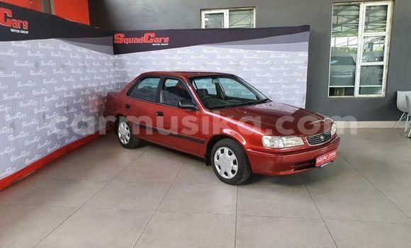 Buy Used Toyota Corolla Red Car in Beitbridge in Matabeleland South Buy Used Toyota Corolla Red Car in Beitbridge in Matabeleland South