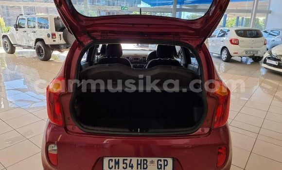 Buy Used Toyota Runx Red Car in Beitbridge in Matabeleland South Buy Used Toyota Runx Red Car in Beitbridge in Matabeleland South