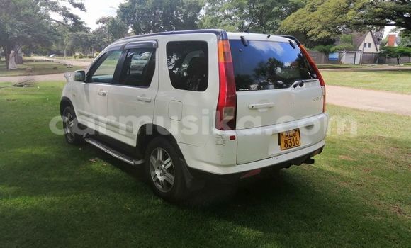 Tenga Tsaru Honda CR–V Chena Mota in Harare in Harare Tenga Tsaru Honda CR–V Chena Mota in Harare in Harare