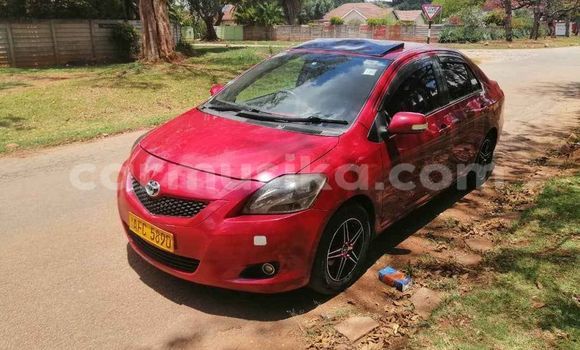 Tenga Tsaru Toyota Belta Tsvuku Mota in Harare in Harare Tenga Tsaru Toyota Belta Tsvuku Mota in Harare in Harare